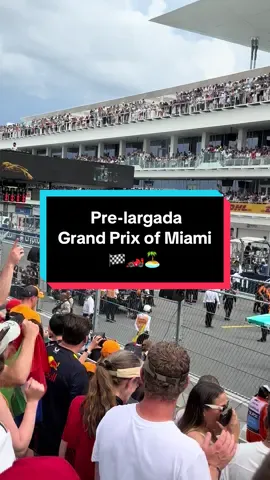 Previa de la largada del Gran Prix de Miami 🏎️🏝️🏁 #f1 #formula1 #miamibeach #2025 #f1tiktok 