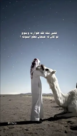 مدري متى يطري على بالك الشوق . #🆘🆘🆘 #fypシ #explore #تصميمي #ليلي 