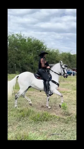 🐴🥃🖤🤍😉 #colombiana #mujerlatina #musicapopularcolombiana #caballos #pasionequina 