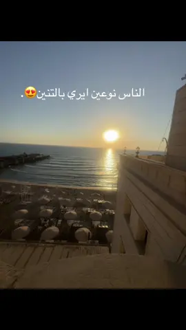 #لبنان🇱🇧_سوريا🇸🇾_فلسطين🇵🇸_تركيا #comment #fypppppppppppppppppppppppp #repost 