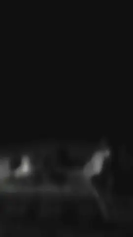 غبني عليهم غبن من بات حاير #قايد_المسعودي 