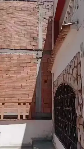 تحير أو تبقى حاير في الجزاير 👌🧐🤦 #الشعب_الصيني_ماله_حل😂😂 #pourtoi #👌 #explorar #الجزائر #مصر #ليبيا🇱🇾 #تونس🇹🇳 #المغرب🇲🇦 #fypage #humor 