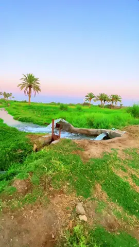 يفلان أبشرك من رحت وياك أخذت العافية 😔#المصور_غزوان_النمراوي #ستوريات #تصويري #تصويري_احترافي_الاجواء👌🏻🕊😴 #fyp 