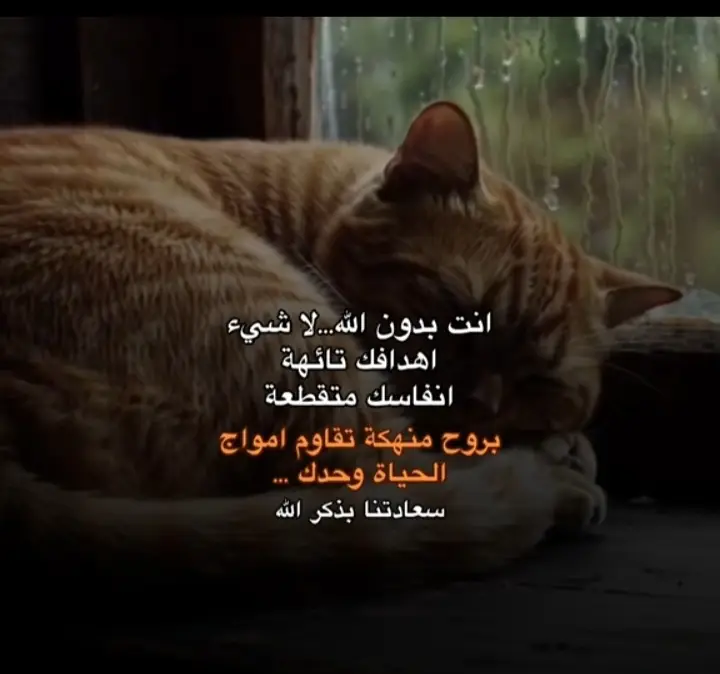 أنت بدون الله لاشيء 💔      . . .... #قرآن #قران_كريم #راحة_نفسية #قران_كريم_ارح_سمعك_وقلبك #عبدالرحمن_مسعد 