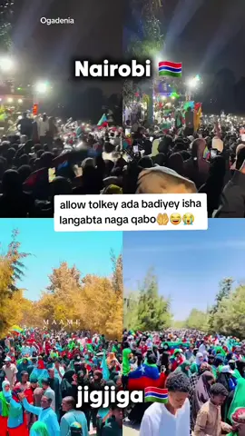 isha yaar yarka☝️🤲😂#dhawackufsato🐪👨‍🦯🇺🇿 #cagdherinmo🇬🇲🦋🥰 #dhagaxbur🐪🚶‍♂️💙💚❤️ #rerisaaq🦁🇬🇶 #cismanruush🦅🇬🇶 