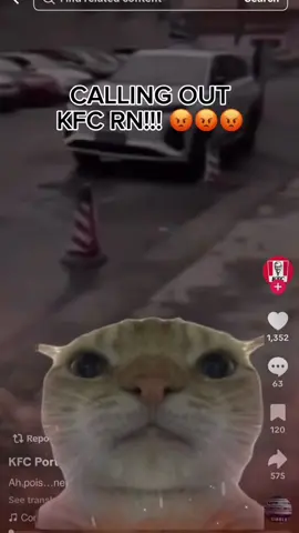 @KFC Portugal maybe we can turn this into a collab? 🐱 #sillycat #collab #meme #catsoftiktok #viralcat