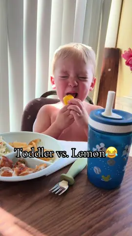 He said “mmm goood” 🤣 #fyp #boymom #sahm #trend #toddlersoftiktok 