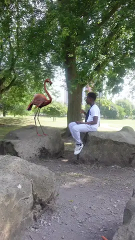 Flamingo helps make rap song