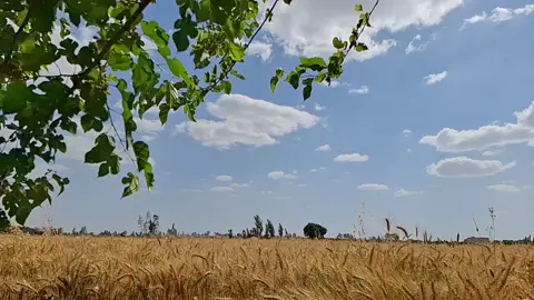 ❤❤