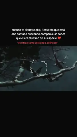 #sad #animales #naturaleza #kauaioo su último canto De soledad 💔