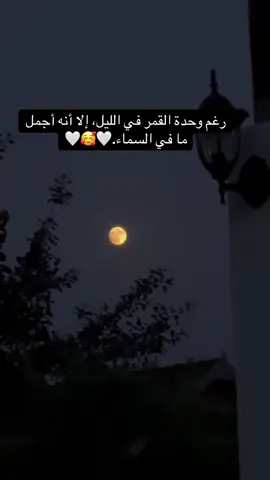 #عبارات 