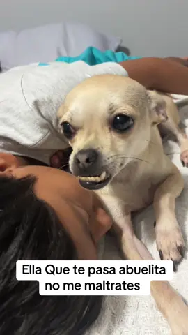#paratiiiiiiiiiiiiiiiiiiiiiiiiiiiiiii #foryou #😂😂😂😂😂 #pets 