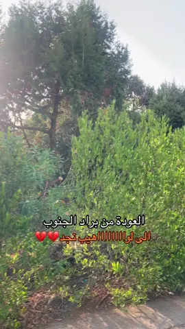 انا  للحين تحت تأثير اكتئاب السفر #explore #fyp #اكسبلور #abha #riyadh 