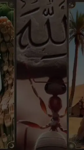 #🤲🤲🕋🕋🤲🤲🕋🕋🤲🤲🕋🕋الله 