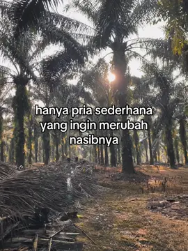 #fyp #petanimuda #petaniindonesia🇮🇩🇮🇩🇮🇩🌿🌿 #pewarismuda #fypシ 