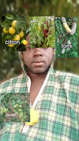 #vues #tiktok #malik 