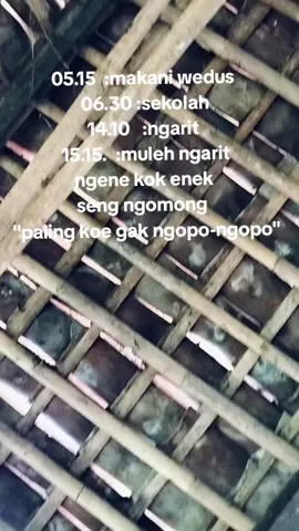 #sodikkkrajinngarit #kandanganakngarit#kebumen24jam 