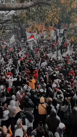 #patisakpore #fyppppppppppppppppppppppp #demojilid2 #demopati  #demokrasi 