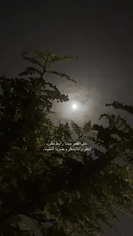 #خل القمر بيننا رابط نظر..                                        أنظر وانا بنظر وعتبرنا ألتقينا. 