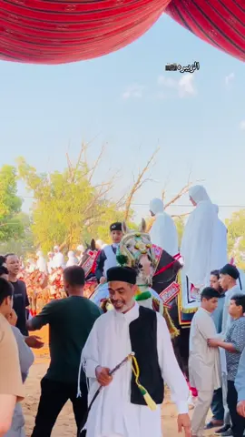 #خيل_وخياله🐎 #عاشق_الخيل تبارك الله❤️ الازرق جميل التوب شد أنضاري عقلي معاه و زاد حتى أفكاري زين الطله وين تنضره تبرا جميع  العله الازرق جميل اللون قول اسم الله   الجواد ليبيا 