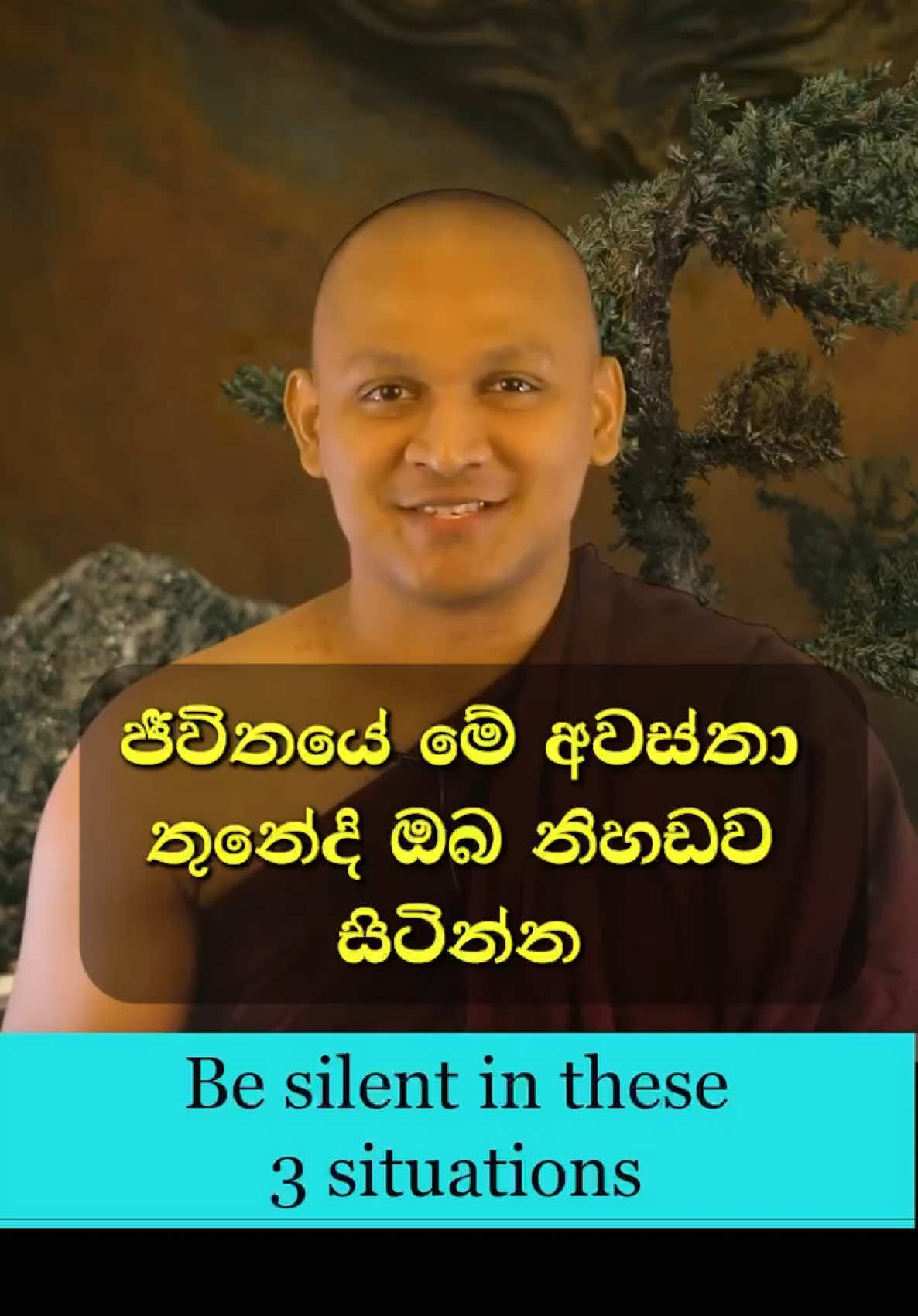 Be silent in these three situations|9|#spirituality #motivation #australia #foryou #fyp #foryoupage #bana #mindfulness #SewanagalaNandarathanaThero