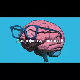 #факти#дивніфакти#цікавіфакти 