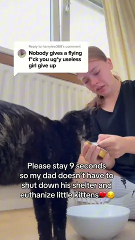 Kind comment would be greatly appreciated #cats #shelter #animal 