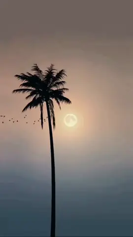 اللهم أجعلنا من خير عبادك المؤمنين 