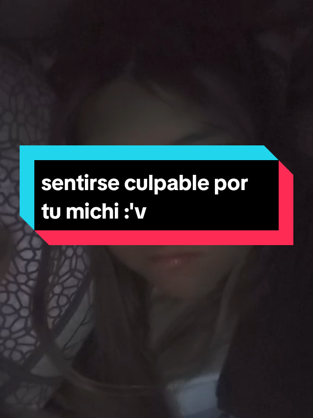 Ni modo...si el bb no se mueve yo tampoco :'v #culpable #collar #michi #gatos #paratii 