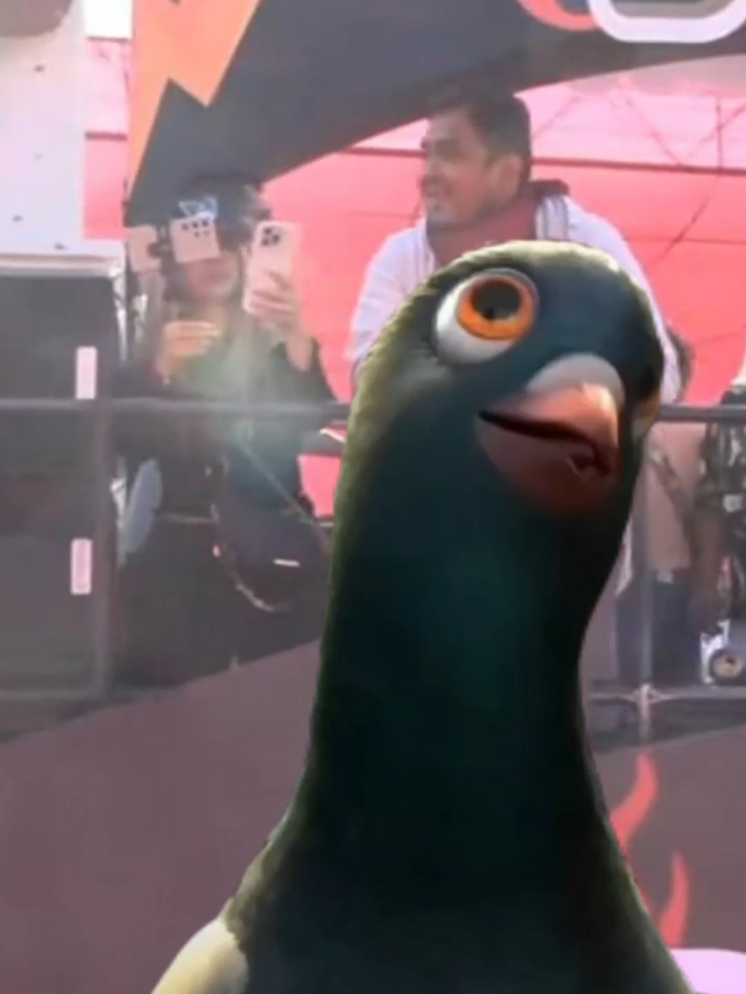 Sandra y Smash aparecen en las noticias #ryan.a92edits #smashdota #smashkins #paratiiiiiiiiiiiiiiiiiiiiiiiiiiiiiii #sandraskins #pulcera #fyp #elpadredomingo