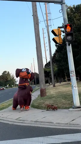 Just another day in Oshawa. #fyp 
