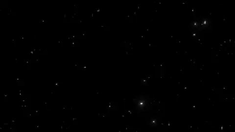 #عمار_حسني 