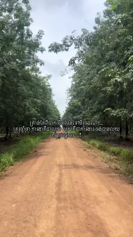 #🌿 