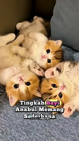 #kontenhibiran😁✌️✌️🙏🙏 