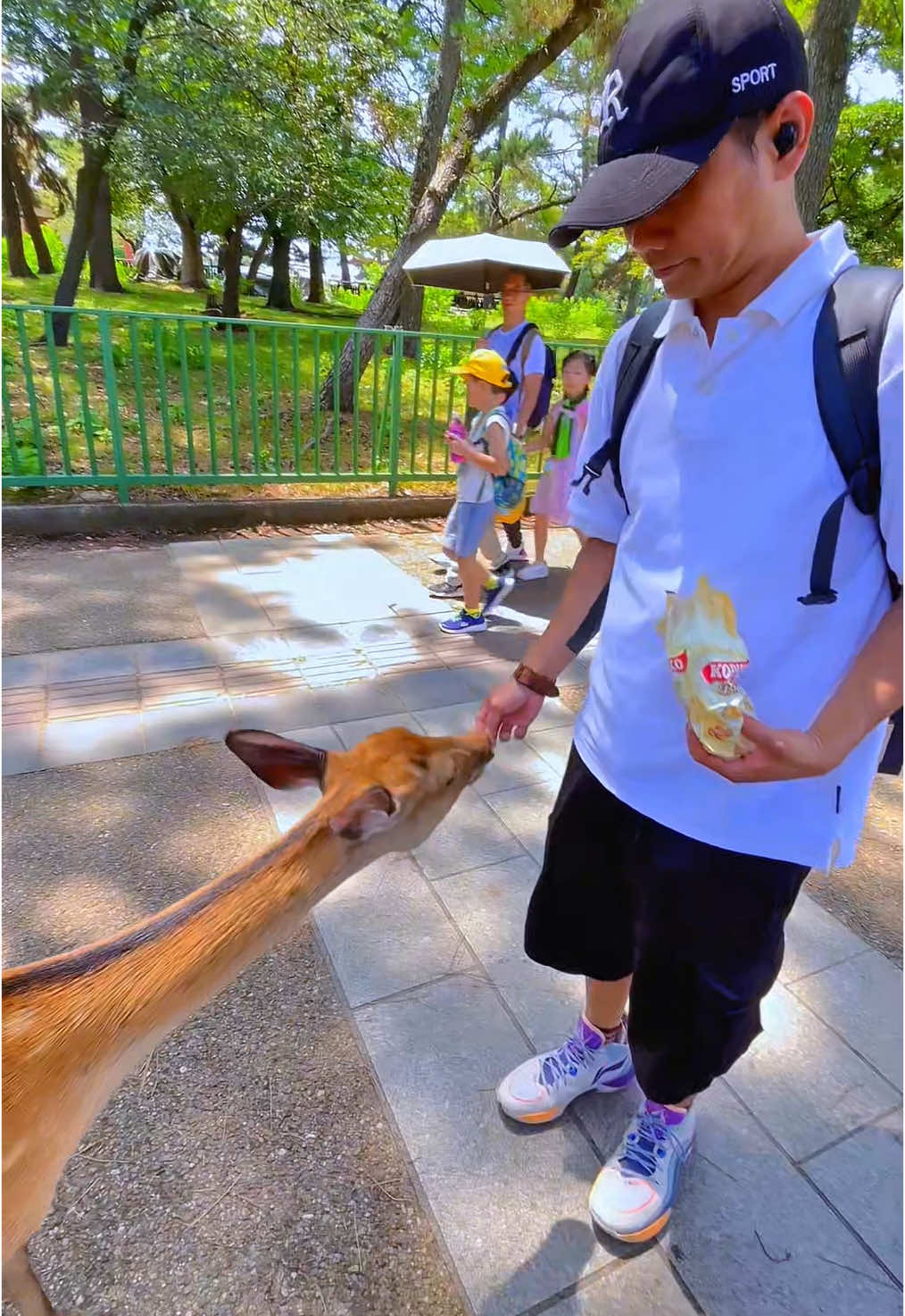 Nara park 😍🫶