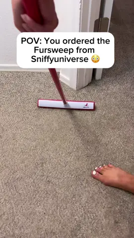 FurSweep – Sweeps away everything… except your pet :) | 50% Discount today!