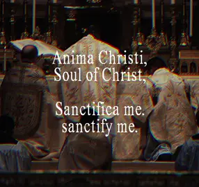 Such a beautiful prayer. #catholic #christian #prayer #jesus #edit