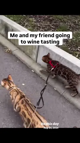 #onthisday 