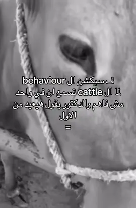 #FunkNoCapCut #خيل_وخياله🐎 #عمرو #viral #fyp 