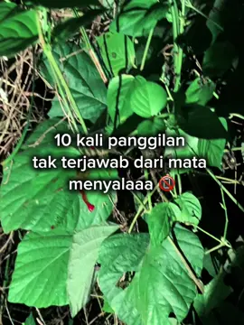 Meluncur 🚀 #CapCut #hunterxhunter #fyp #berburu #matamerah 
