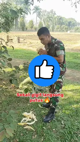 gigi baja mantap 👍