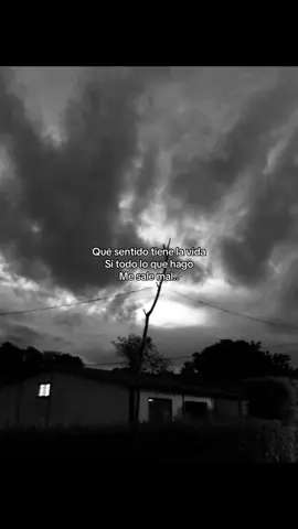 #videosparaidentificarse #bajonesemocionales #deprecion #frasesyreflexiones #fupシ 