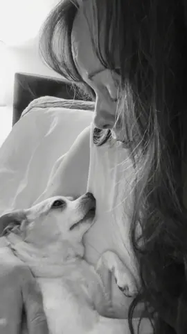Whoever said it gets easier lied. #petloss #grief #petlossgrief #dogsoftiktok 
