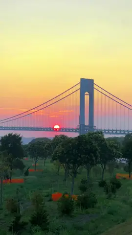 🌅