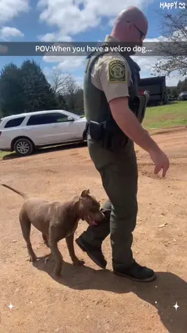 Part 90:  When you have a velcro dog 😂 #dog#funny#funnyanimals#funnypets#animals #tiktok #pet #foryou #longervideos#fyp #usa#velcrodog#usa🇺🇸  
