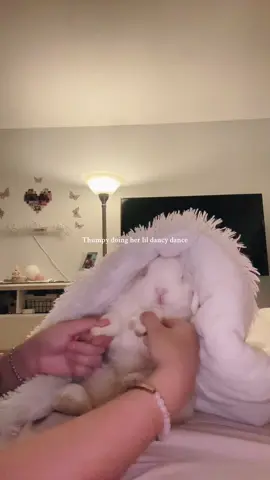 The shit talking was necessary😭 ##bunnytok##bunniesoftiktok##bunnymom##furbaby##hollandlop