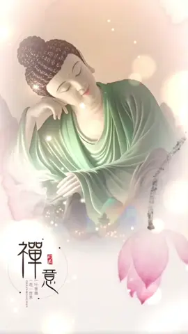 🪷Phật pháp và cuộc sống🪷 #phatphapnhiemmau #vulanbaohieu2025 #adidaphat #thinhhanh #xuhuong 