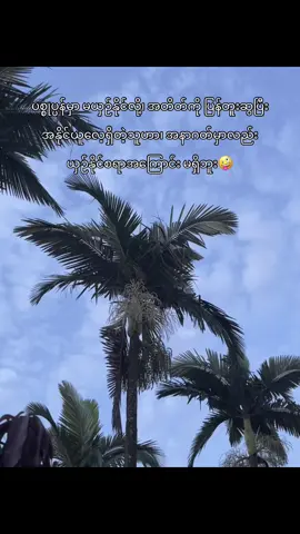 စတာပါရှင်🤪#views #foryou #trending #fypシ #crd 