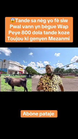 #politik #haitian #usa🇺🇸 #tiktokviral #canada_life🇨🇦 