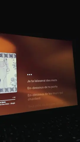 Je te lasserai de mots💝 #music #jetelaisseraidesmots #foryou #spotify 